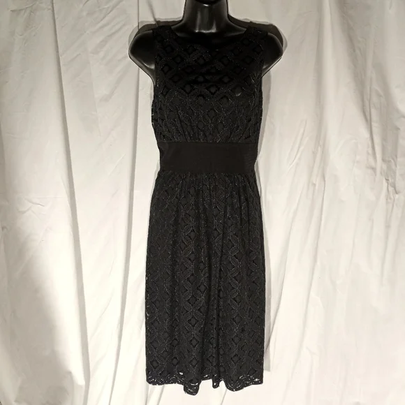Shoshanna Dresses | Shoshanna Navy & Silver Lace Fit & Flare Dress | Color: Black/Blue | Size: 6 | Sfbarbie's Closet